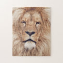 Recherche de adultr puzzles Carnivore