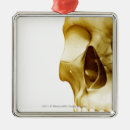 Search for human brain ornaments Horizontal