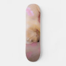 Search for puppy skateboards Cute