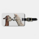Search for llama accessories Tag