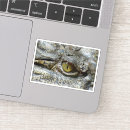 Recherche de oeil reptile autocollants Crocodile