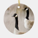 Search for geese ornaments Goose