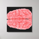 Recherche de neurologique art Esprit humain