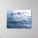 Search for orca canvas prints Wildlife