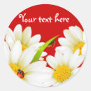 Search for daisies and ladybugs stickers Daisy