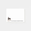 Search for working breed Pet
