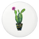 Search for southwestern knobs and pulls Desert