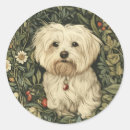 Search for maltese dogs stickers Vintage
