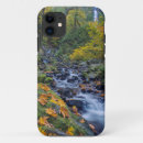 Search for fall colours iphone cases Foliage