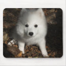 Search for american eskimo electronics Puppy