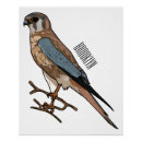 Recherche de moineau posters Falco sparverius