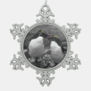 Search for splash ornaments Wildlife