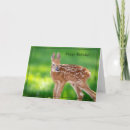 Recherche de queue de renard cartes postales Nature