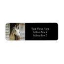 Search for equine return address labels Black