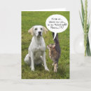 Recherche de dog valentines day cards Amusant