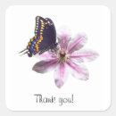 Search for black swallowtail stickers Flower