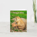 Search for prairie dog cards Cute