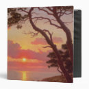 Search for soir 19th