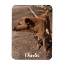 Search for pet photo magnets Simple