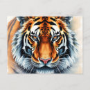 Recherche de tigre rayures cartes postales Faune