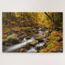 Search for new forest puzzles Maple