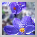 Search for crocus posters Garden