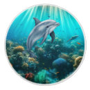 Search for knobs and pulls Ocean