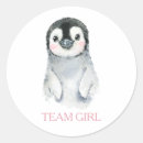 Search for vote stickers Gender reveal party