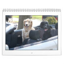 Search for 2010 office supplies Animals