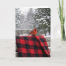 Search for red cardinal birthday cards Winter