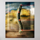 Search for spine posters Healthcare and medicine