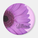 Recherche de gerbera magnets Rose