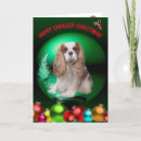 Search for blenheim cards Dog