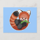 Recherche de panda rouge cartes postales Porcelaine