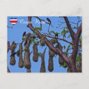 Search for aggressive horizontal postcards Wildlife