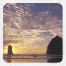 Search for beach stickers Coast