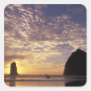 Search for oregon stickers Coast