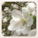 Search for apple blossom barware White