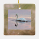 Search for swan ornaments Birds