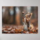 Recherche de écureuil rouge posters Animal