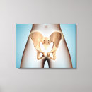 Search for female anatomy canvas prints Human body parts