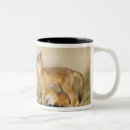 Search for vulpes vulpes mugs Animal