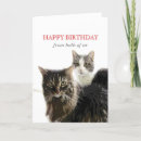 Search for cat birthday cards Kitties