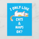 Recherche de siestes cartes postales Chat