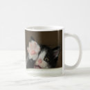 Recherche de chat tigre tasses Domestique