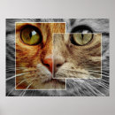 Recherche de le visage posters Animal