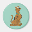 Search for scooby doo magnets Cartoons