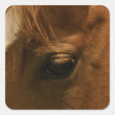 Recherche de portrait de cheval autocollants Équin