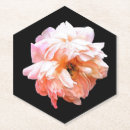 Search for romantic rose barware Peonies