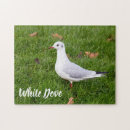 Search for pigeon puzzles Nature